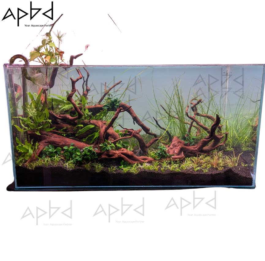 ? The 'Rooted Grove' - Premium Forest Scape (Tk 174,500)