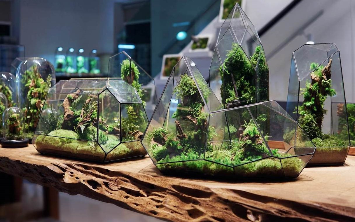 Terrarium & Paludarium