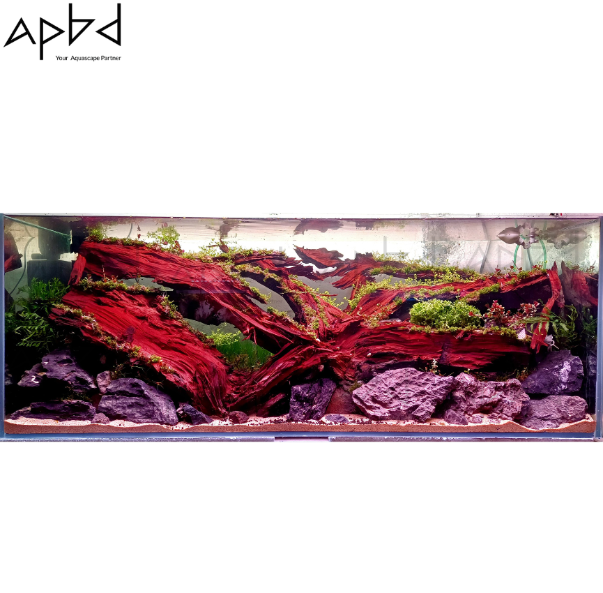 Premium 4ft Nature Aquarium Setup - ADA, Netlea