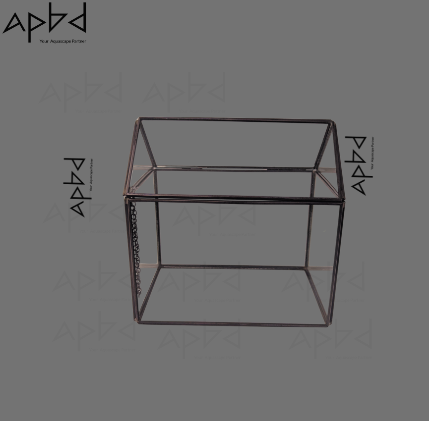 Geometric Imported Glass Terrarium Jar Only (Model 3) | Modern Glass Vessel | Price: 2800 TK