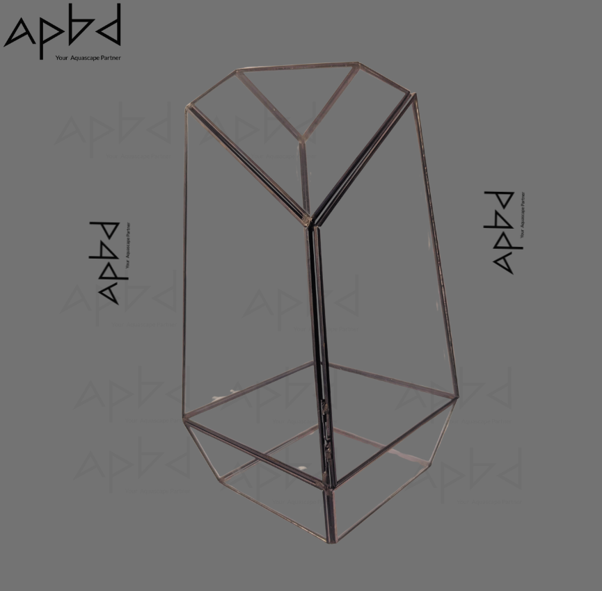Geometric Imported Glass Terrarium Jar Only (Model 2) | Modern Glass Vessel | Price: 3500 TK