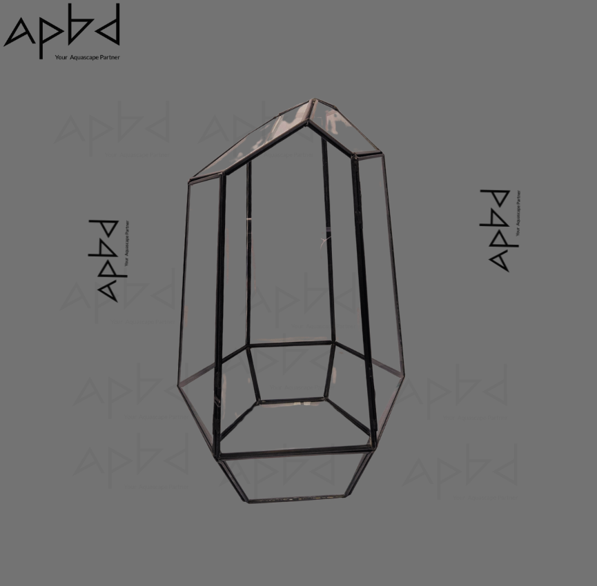 Geometric Imported Glass Terrarium Jar Only (Model 1) | Modern Glass Vessel | Price: 3500 TK