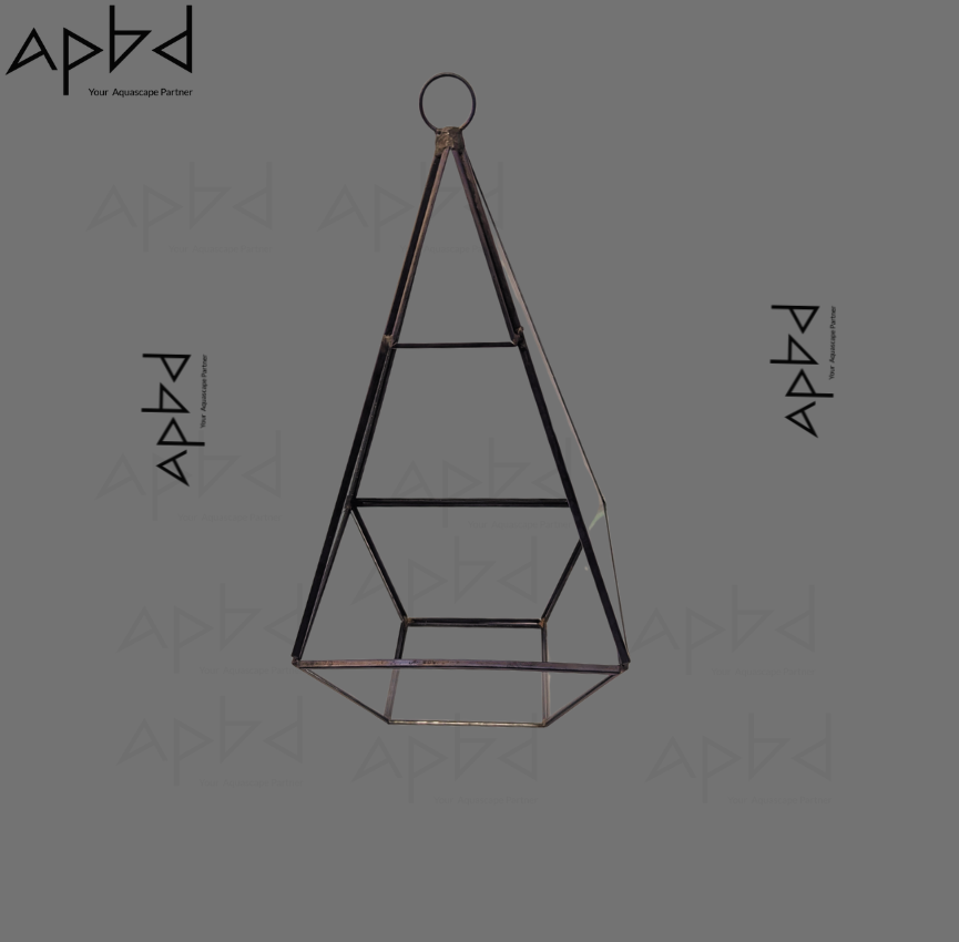 Geometric Imported Glass Terrarium Open Jar (Model 5) | Front Open Vessel | Price: 2400 TK